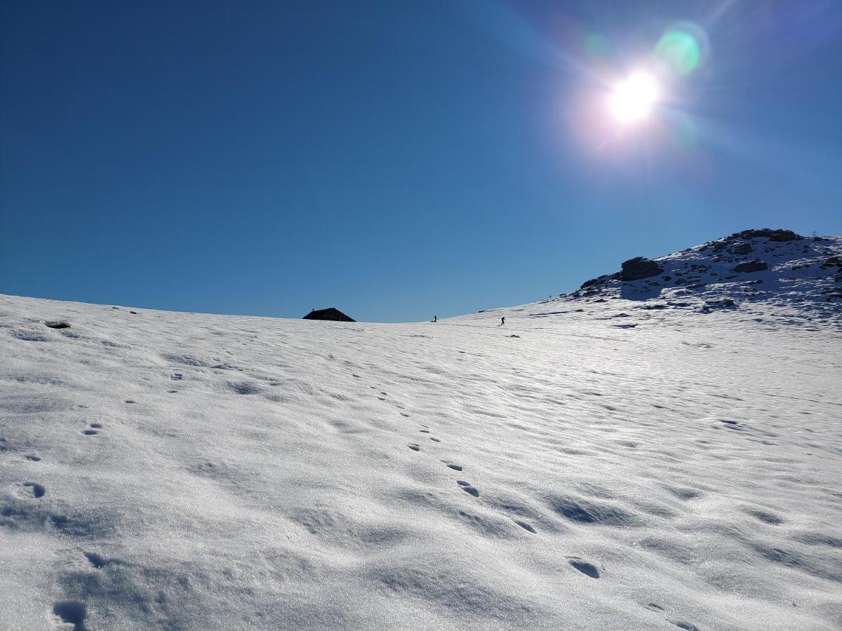 Gran Paradiso Alpette Dış mekan fotoğraf