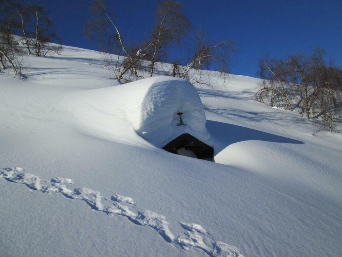 Gran Paradiso Alpette Dış mekan fotoğraf